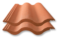 mashudu netsianda tweet media