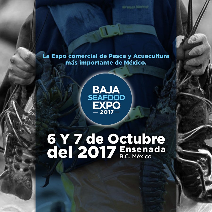 Baja SeaFood Expo tweet media