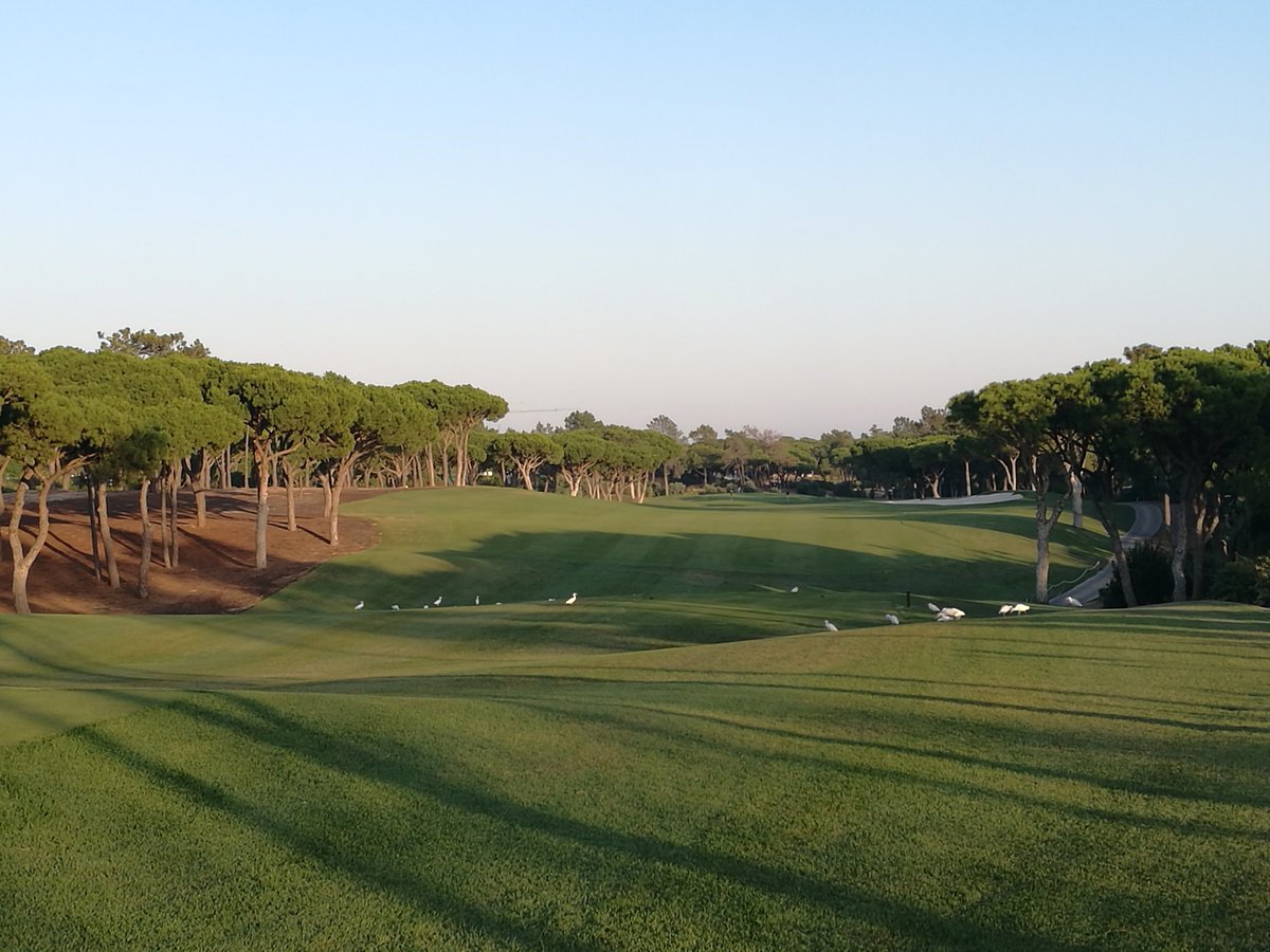 GolfandTech's tweet photo. Leading first day of golf trip with 39 points @quintadolago north https://t.co/HBypT4zvOq
