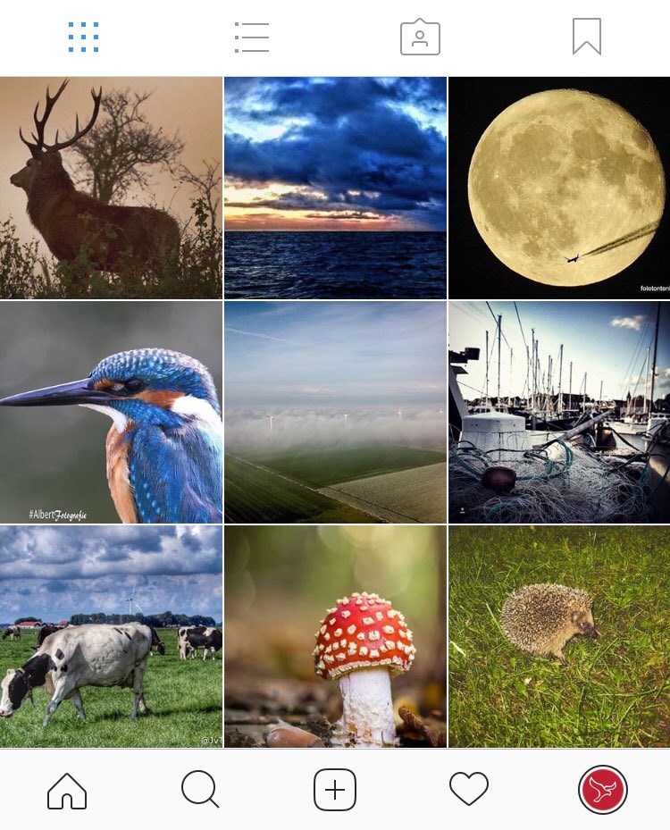 Wat is Flevoland toch prachtig! Meer mooie foto’s van onze provincie vind je op instagram.com/omroepflevoland