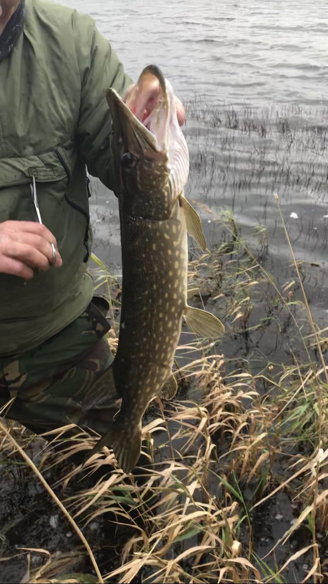 Andrew Mcilhone tweet media