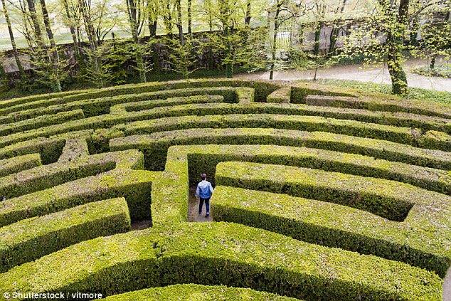 maryckolben's tweet photo. I will not meander through the maze of mediocracy -@dawnn_lewis powerful words #activatepurposesummit @AdvanceTheSeed https://t.co/vtv7IJQCrT
