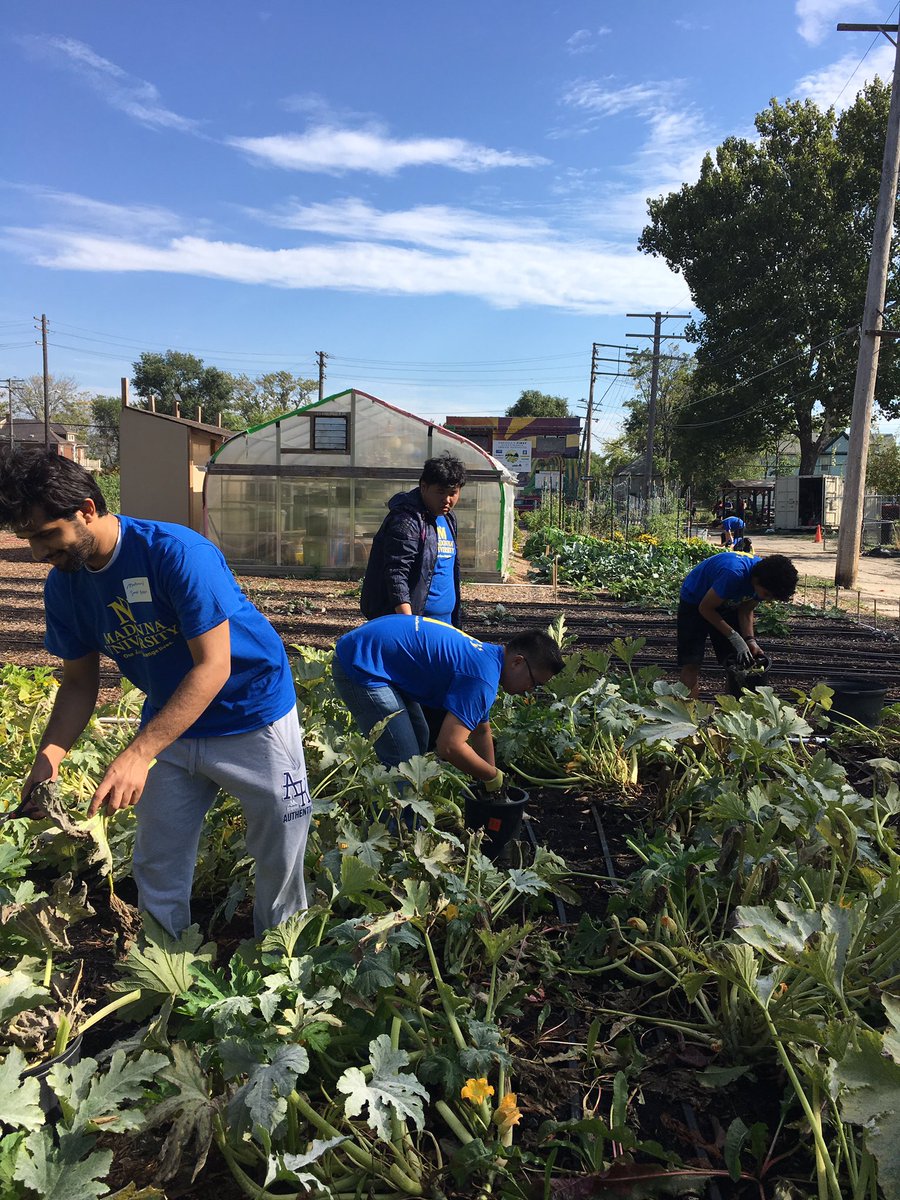 HadeelBetti's tweet photo. Amazing students doing amazing work #Franciscandayofservice #MUWalktheTalk #MUESL @MadonnaU #Michiganurban farminitiative https://t.co/BNbAOMdALL