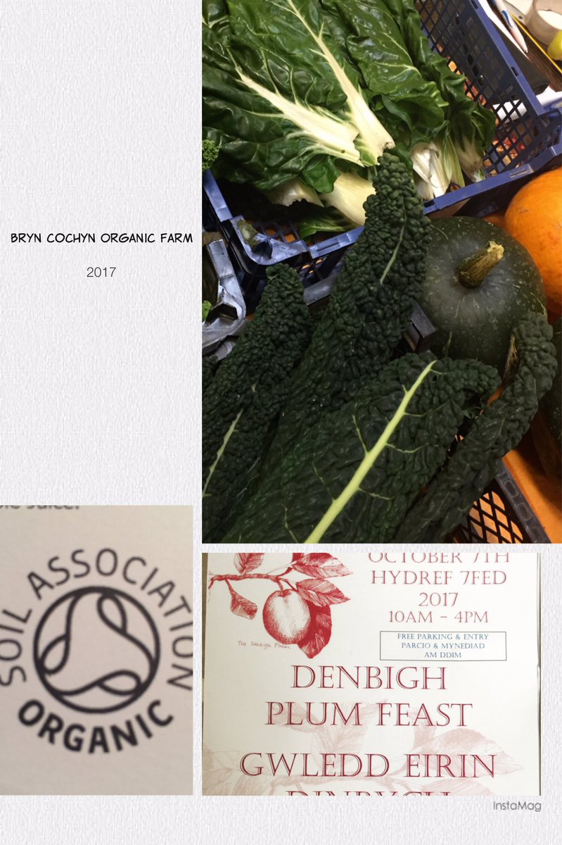 Fabulous #organic #Veg and #Fruit <a href="/BrynCocynFarm/">Patrick Noble</a> #SlowFood #DenbighPlumFeast  we'll be eating ours tomorrow!