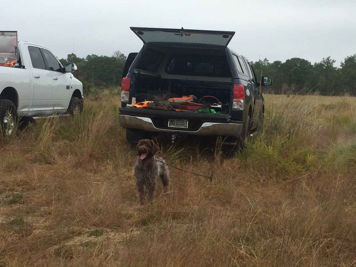 clemweld's tweet image. Uma at a Navhda mock test day. #Navhda