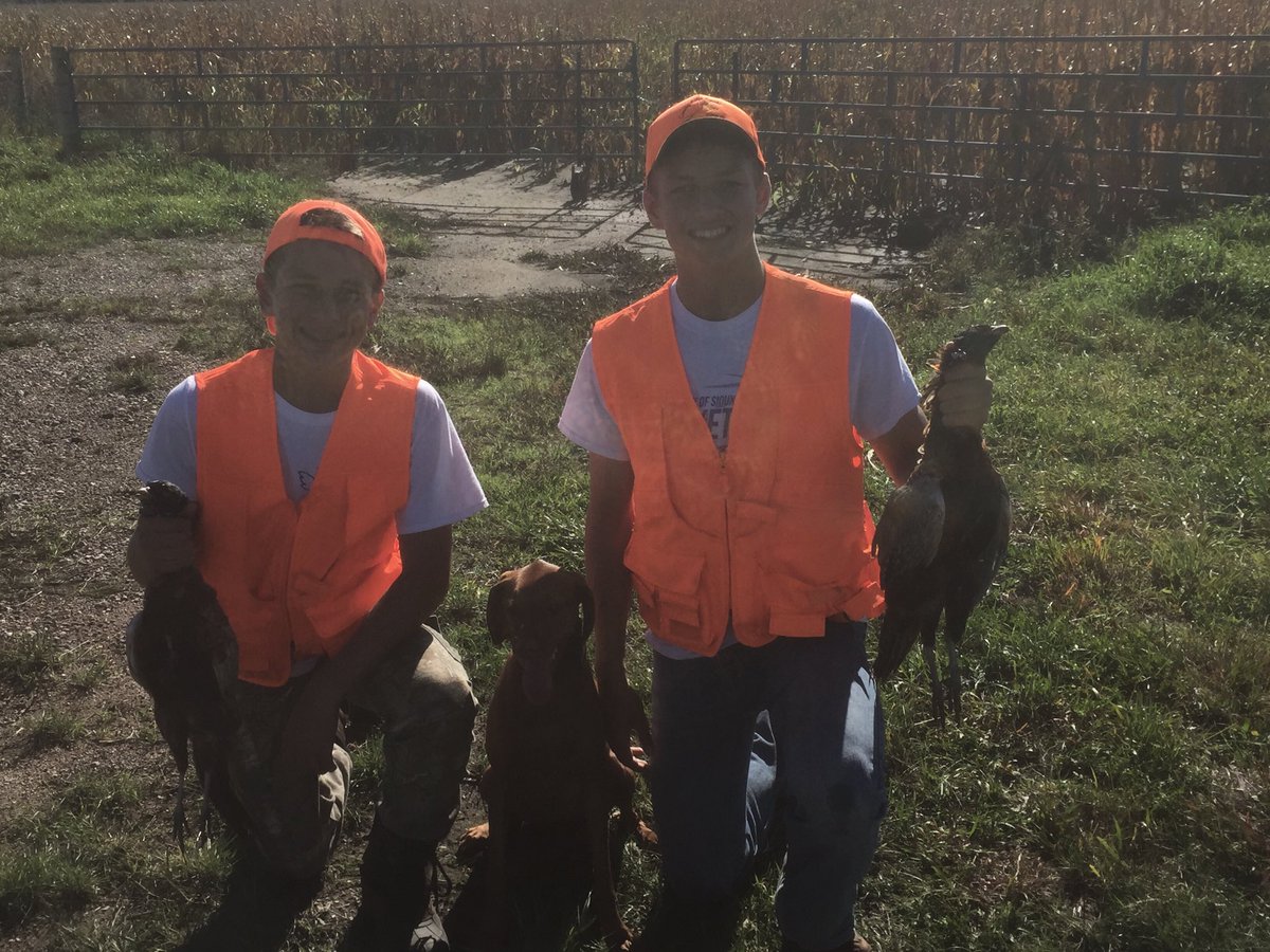 Solid youth hunting opener.  Pretty legit watching Ruby work and lockin on pheasants.  Very pleased with her.
