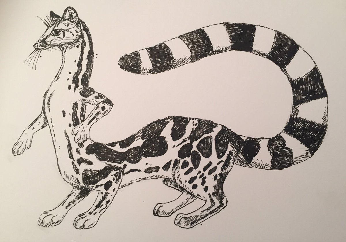 Linsang Hashtag On Twitter