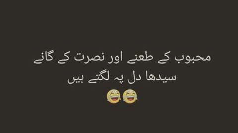 usman12125's tweet photo. یہی ہے ذوقِ عبادت کی انتہا ساغر
غمِ حیات کے ماروں کا احترام کرو! https://t.co/ewVOyfHFlo