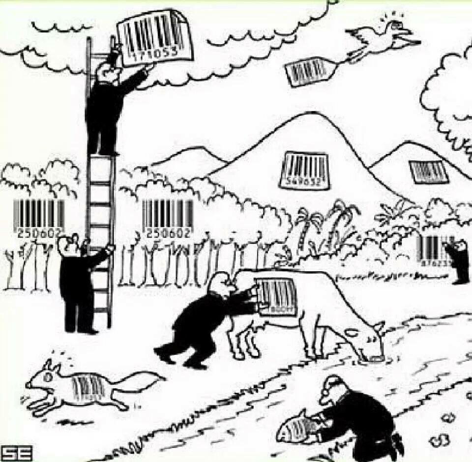 buzzroll20's tweet image. 