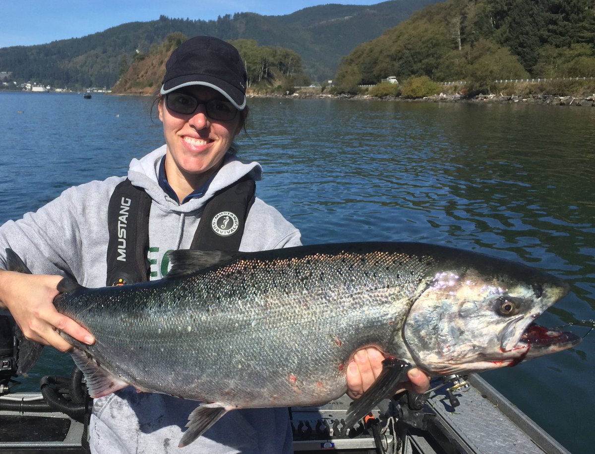 SkysGuide's tweet image. A beautiful Tillamook fall chinook salmon for Allison, her first ever. SkysGuideService.com (503) 799-3757 #oregoncoast #fishing
