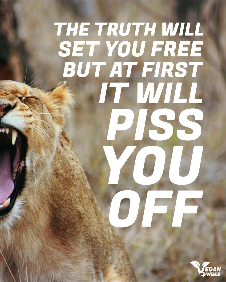 Vegan Vibes (@veganvibespage) on Twitter photo 