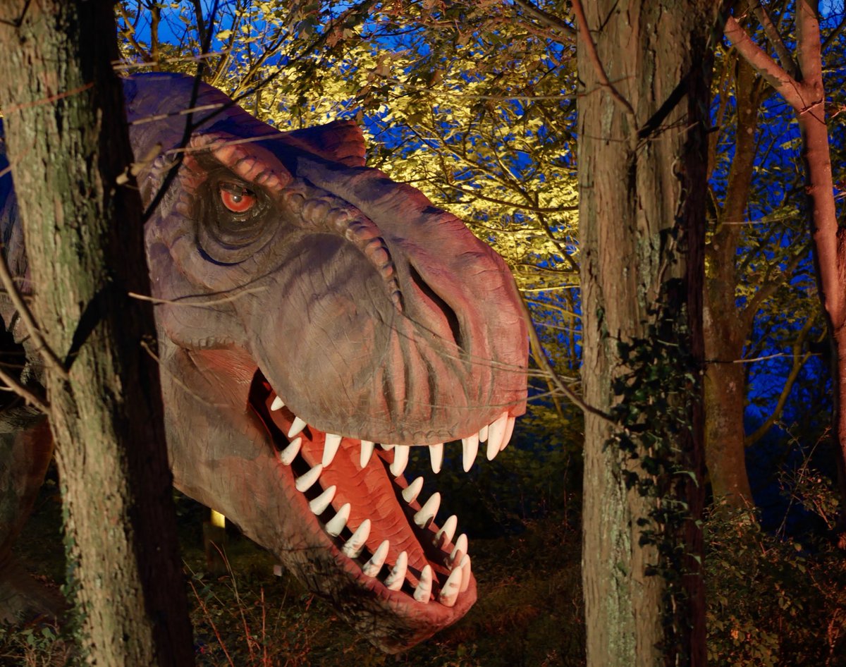 TeamJenxy's tweet photo. Saturday evenings were made for hanging out with dinosaurs, riding a rollercoaster in the dark and making fabulous potions @BlackgangChine https://t.co/iiYx3j4PAj