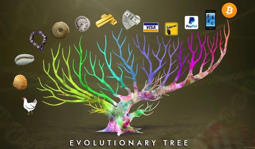 BitcoinDergi's tweet photo. Paranın evrimi..
#bitcoin #blockchain #money #evolution #cryptocurrency https://t.co/rvRQVCMuch