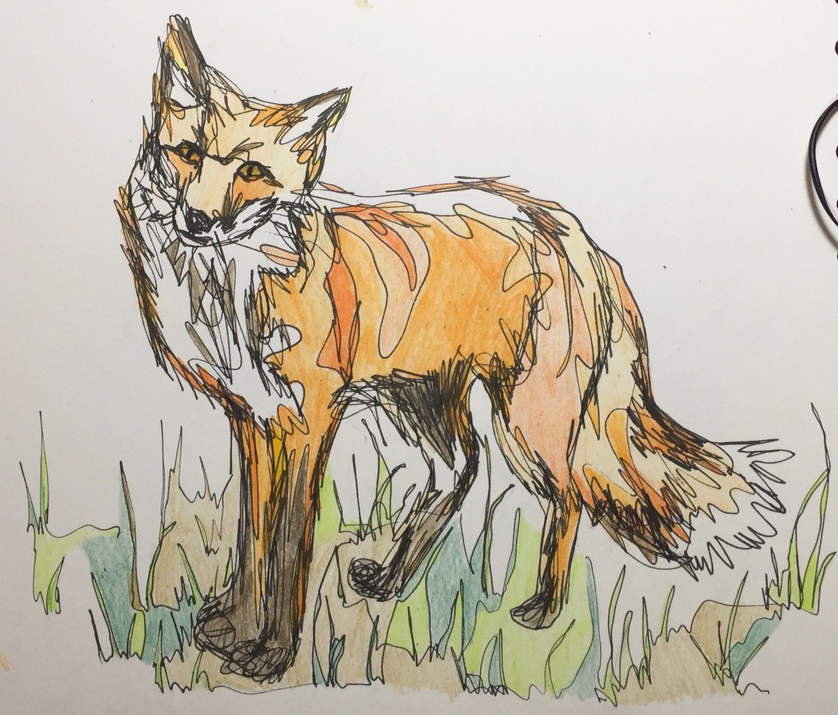 #ink #inktober #inktober2017 #inky #illustration #illustrator #art #artist #woodland #woodlandillustration #fox #continuousline