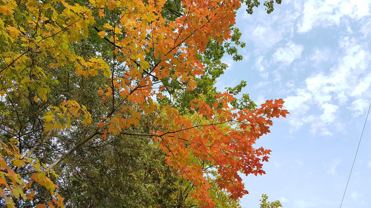 letsdiscoverON's tweet image. Visited #CVCFallFest today @CVC_CA in #TerraCotta. Fun for the entire family! More chances to visit on every Sat in Oct. #LetsDiscoverON