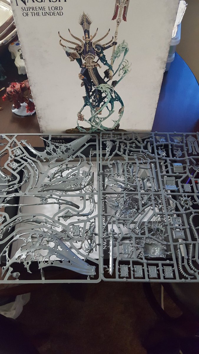 themodelcore's tweet photo. Next project for a friends birthday. Getting super excited 
#ageofsigmar #tabletop https://t.co/4XJVQc1Sll
