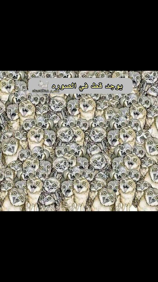 فيه صورة قطوه من يطلعها