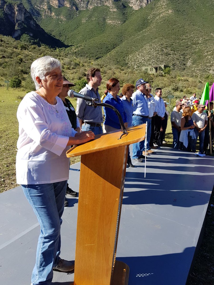 Armando Luna Canales tweet media