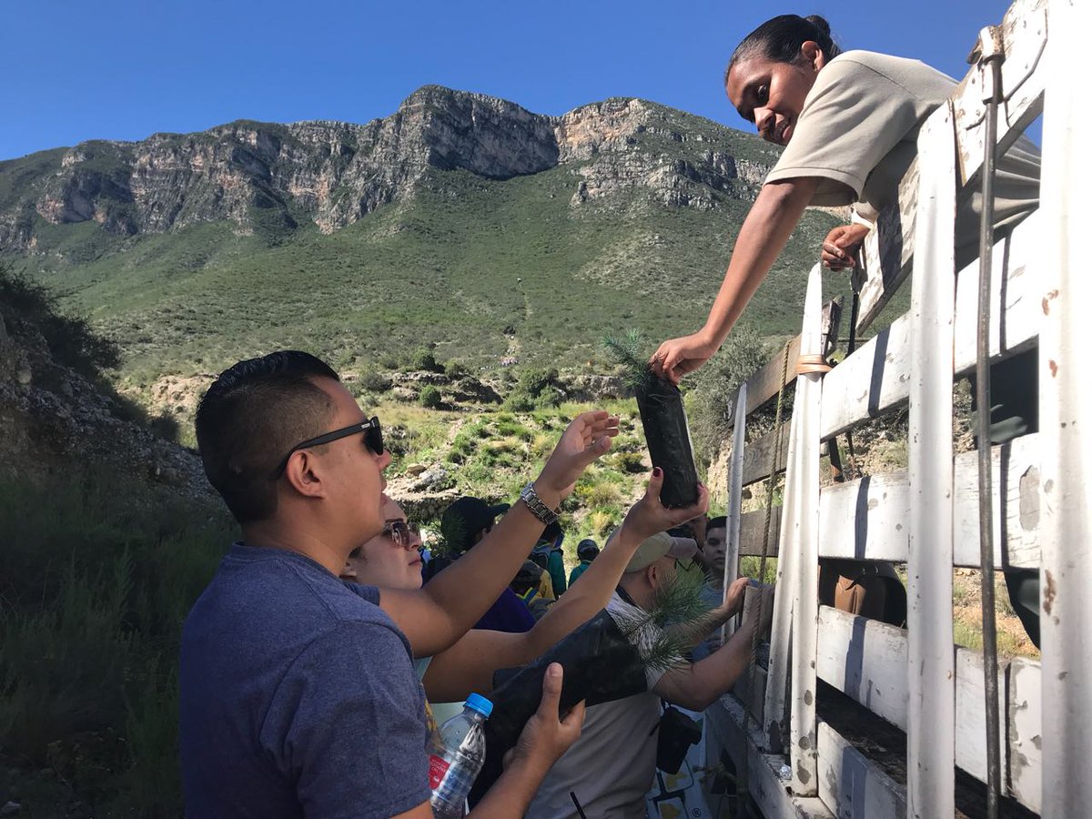 Armando Luna Canales tweet media