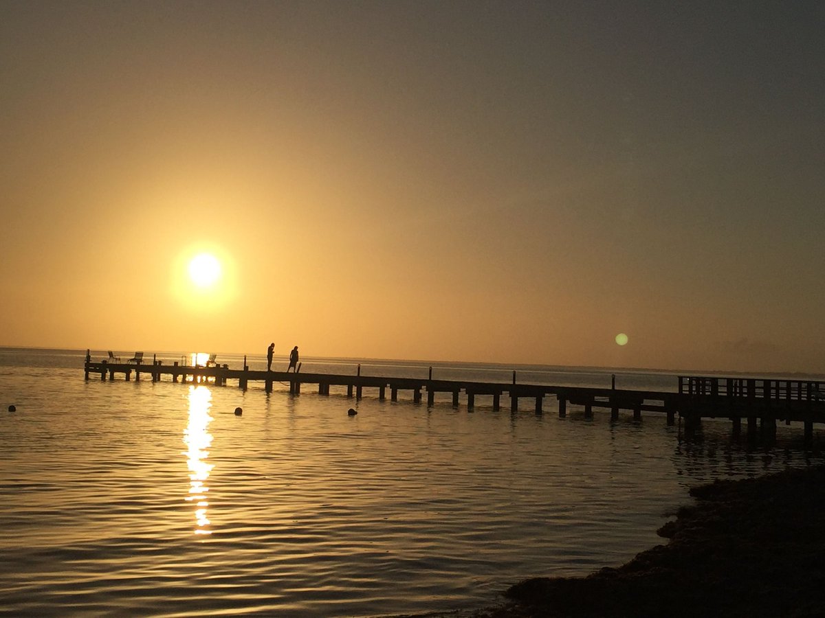 budgetcayman's tweet photo. A lot more to Cayman Islands then you think... Why not come over and explore it? And this was only a glimpse 😍😉 https://t.co/V3izpnjjO5