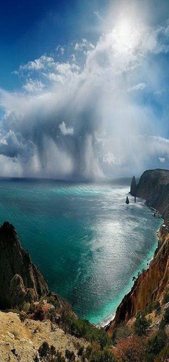 abapayson's tweet image. 