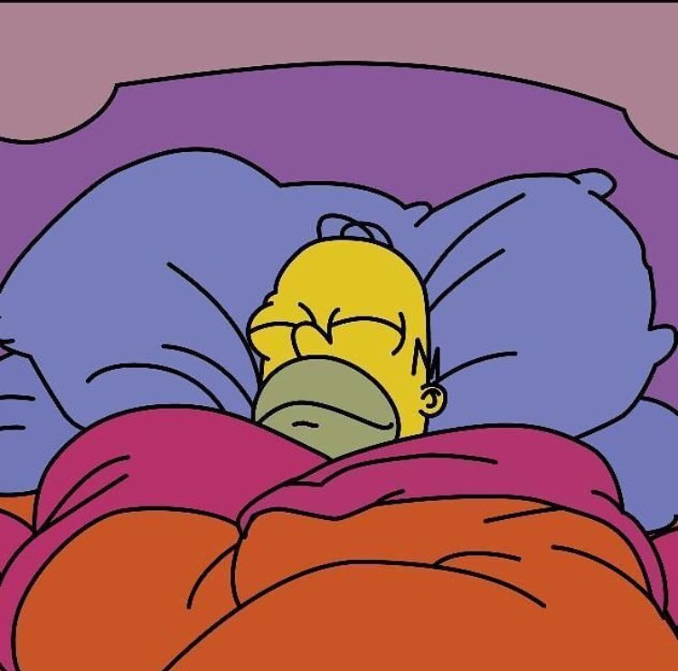 Mis planes para hoy.