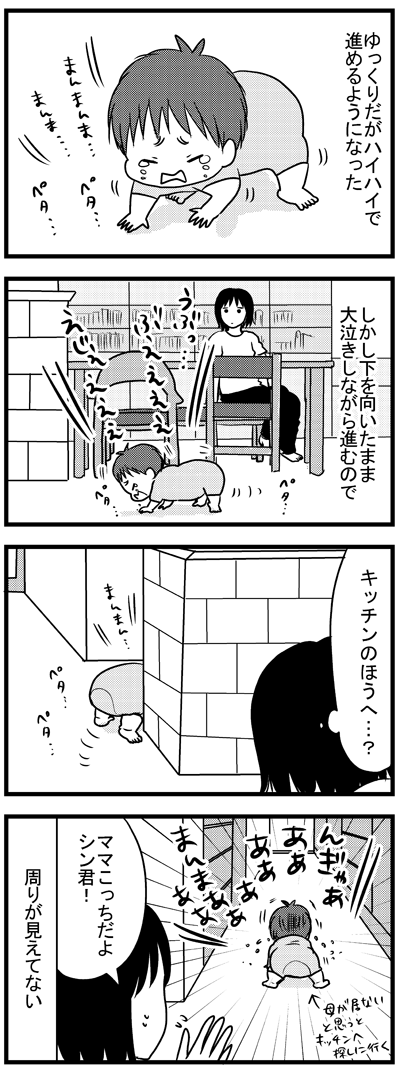 母を訪ねて三千里  