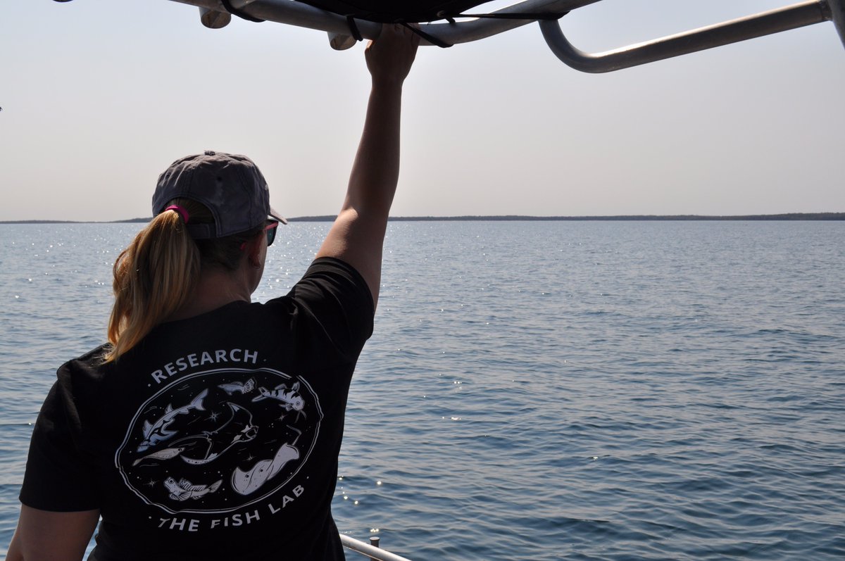 FishLab_MQ's tweet image. We have shirts! For just $30 you can get your hands on one and make all the other labs jealous, PLUS all proceeds go towards funding our research. Just shoot us a message to order. Design by elasmo.com.au. #FishLabInTheWild
