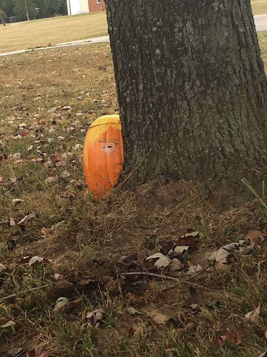 lunchpox's tweet photo. !LEAKED PHOTOS OF TRUMPS FALL PHOTOSHOOT! https://t.co/l16gJAL705