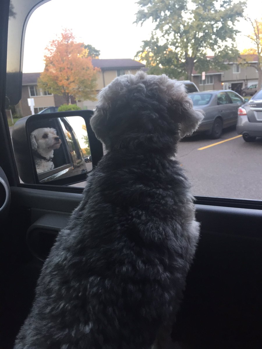 BrittanyMinder's tweet photo. Ready to go bye-bye. https://t.co/W5y1bmn1og