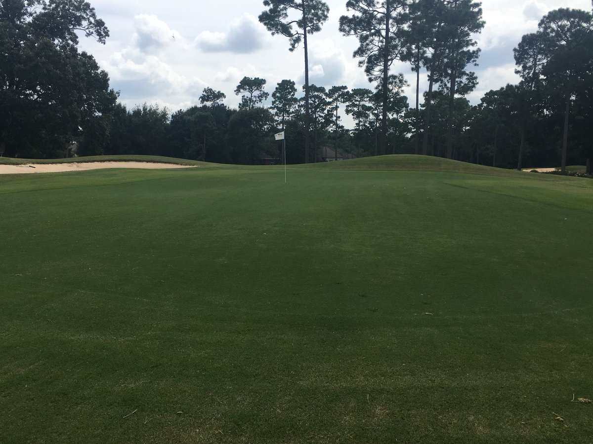 Timber1golf's tweet photo. We closed early today due to Nate but if weather conditions ok tomorrow we will have course open after lunch tomorrow. Be safe#timbercreek https://t.co/aJsc0R9LYC