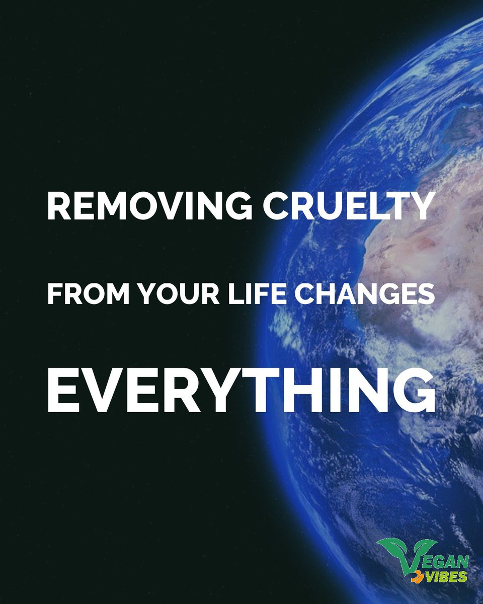 Vegan Vibes (@veganvibespage) on Twitter photo 