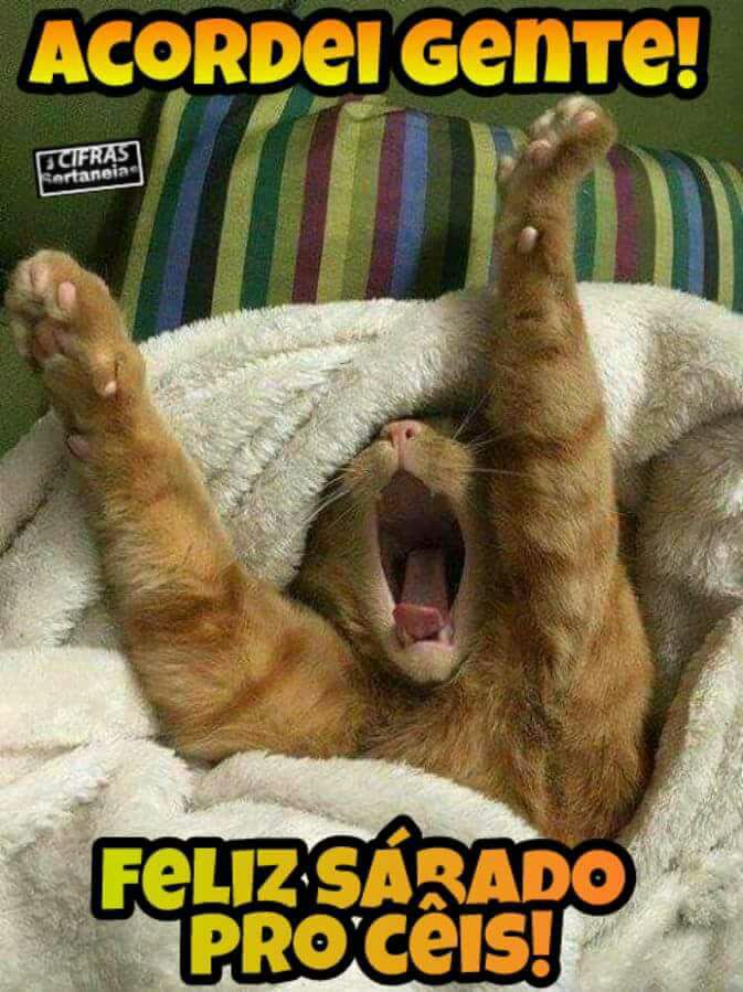 TimBetaLabLukas's tweet image. Kkkk