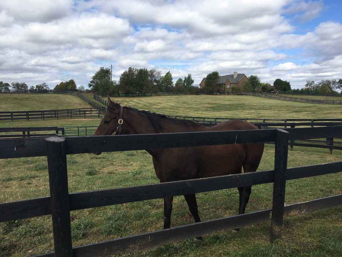 reddogcw's tweet photo. I saw an old buddy and got a new hat today 😊🇨🇦 #ONBred https://t.co/hmfoRjBO1r
