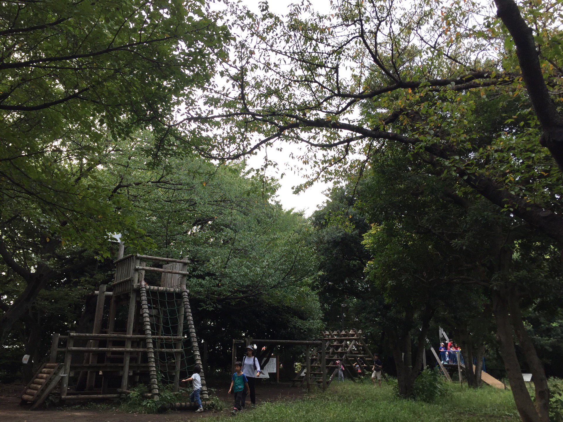 Asparagus On Twitter 結構アスレチックの種類があります 大蔵運動公園 アスレチックコーナー In 世田谷区 東京都 Https T Co Nwt5lrc4nw