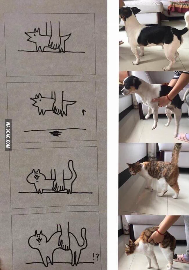 やはりあの理論は正しかった？犬は固体で猫は流動体の証拠が発見されるｗｗｗ