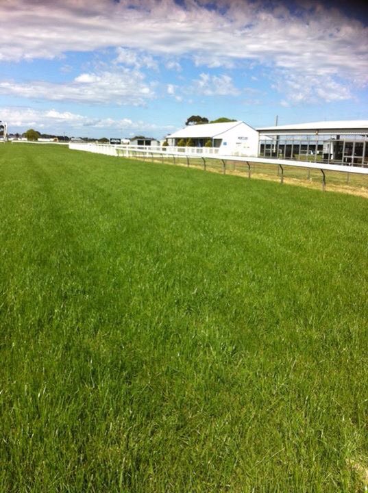 Track looking great after fertiliser applied this week.
Will be near perfect for Mortlake Cup Day!
#lovespring #makeitmortlake