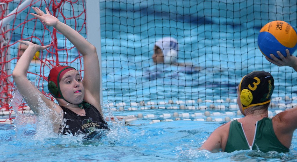smilematt's tweet photo. @BarrasWaterPolo Week 1 Brisbane comp #barraVcudas  #seriousbutfun #eyeswideopen https://t.co/qU24DUBl6H