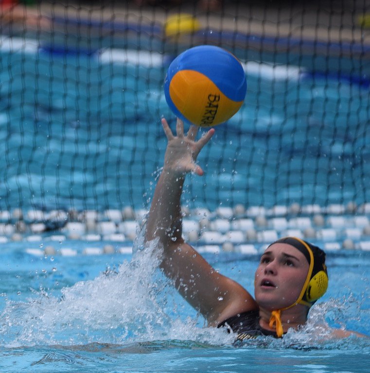 smilematt's tweet photo. @BarrasWaterPolo Week 1 Brisbane comp #barraVcudas  #seriousbutfun https://t.co/a0N3LpETWq