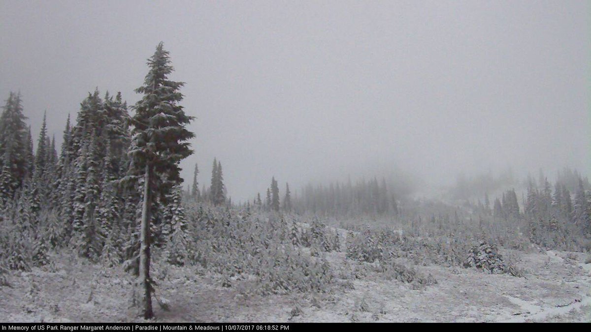 Don Nadeau tweet media