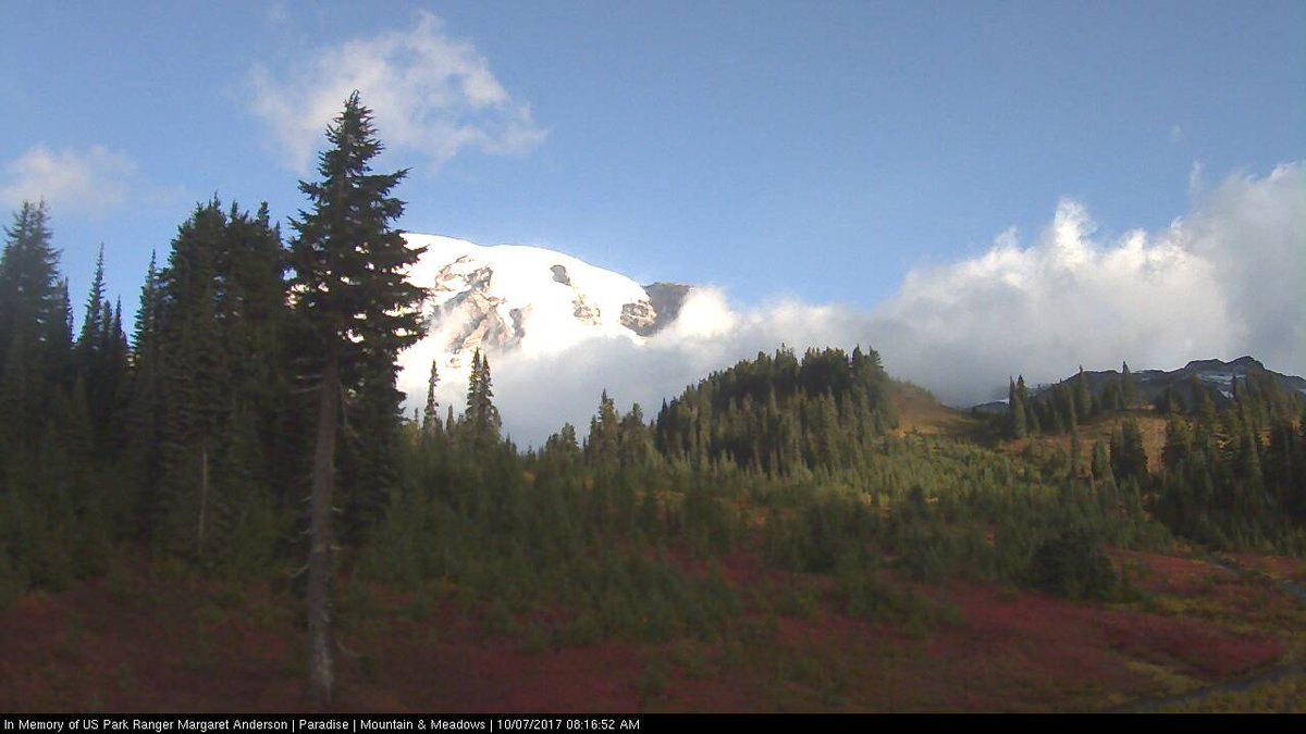 Don Nadeau tweet media