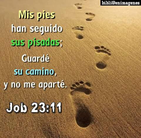 paperry17_5's tweet photo. Buenas noches 🌃
*PALABRA de DIOS*
Job 23:11 
Mis pies han seguido sus pisadas; 
Guardé su camino, y no me aparté.📖🙏🏼

Hasta mañana 😴 https://t.co/B8O4fawLgY