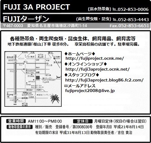 Fuji3aproject Tarzan Fuji 3a Project Fujiターザンは明日9日 月 も営業致します 10日 火 は定休日順延につき休業日となります T Co Vae93gdxwj 本日は8日 日 で営業中 よろしくお願いしますｍ ｍ T Co Vd5dizwaxo