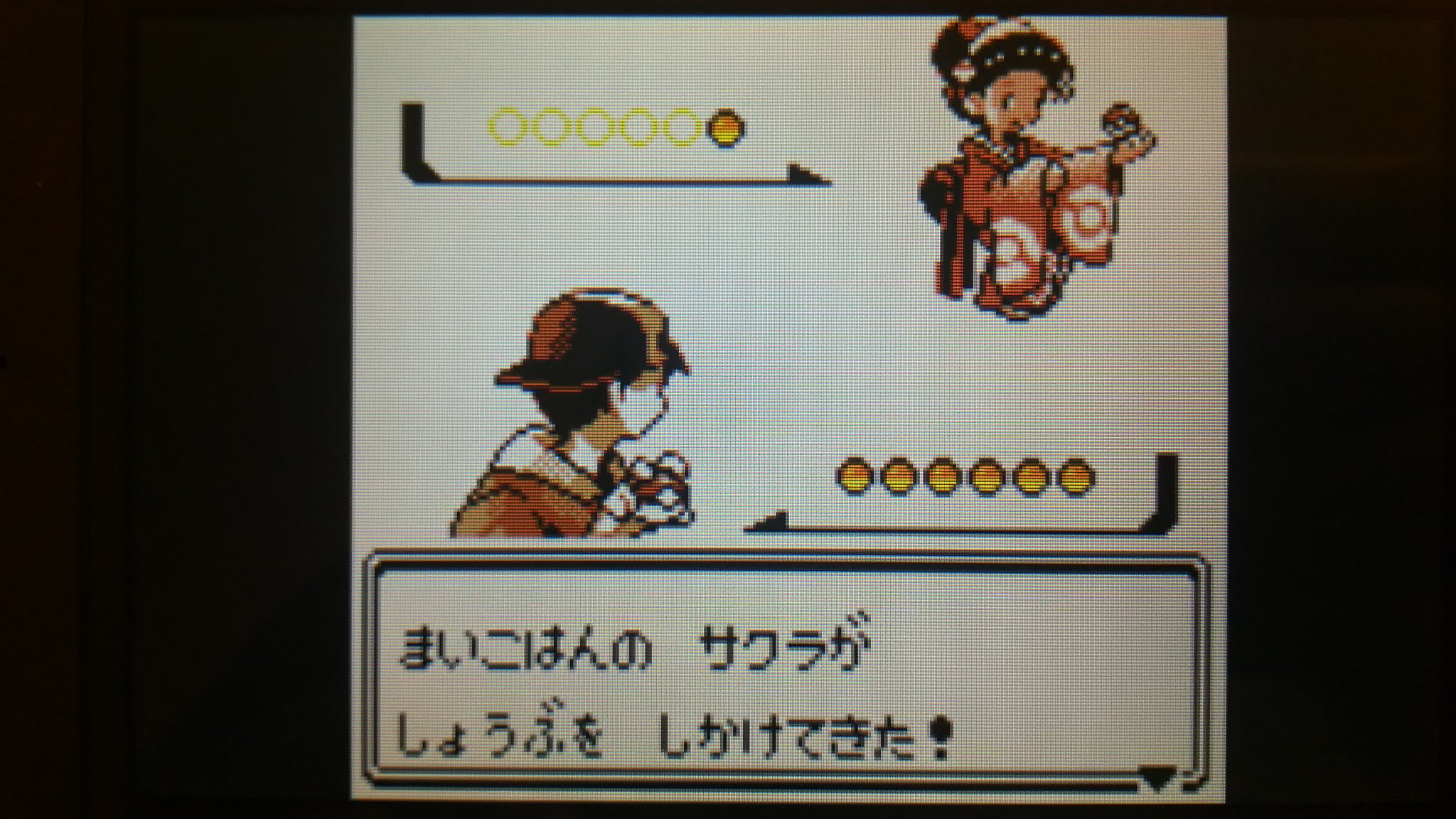センジ Twitterren まいこはんのサクラとエーフィ ポケモン金銀 T Co V11obzg7fc Twitter