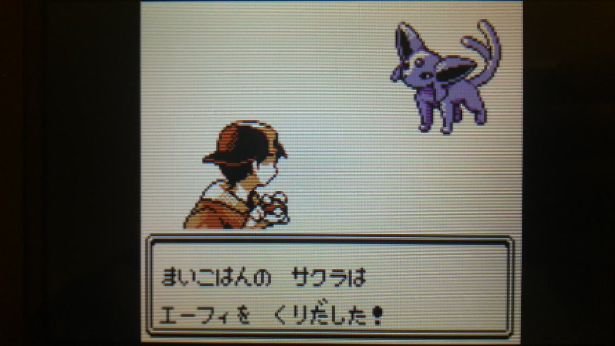 センジ まいこはんのサクラとエーフィ ポケモン金銀