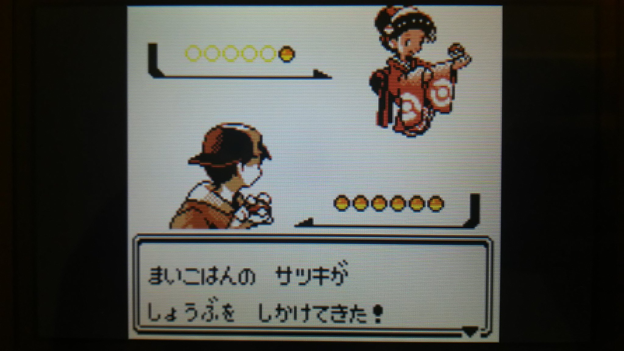 最終値下げ　ブラッキー　サンダース　ポケモン　金銀トランプ easta_1401061729