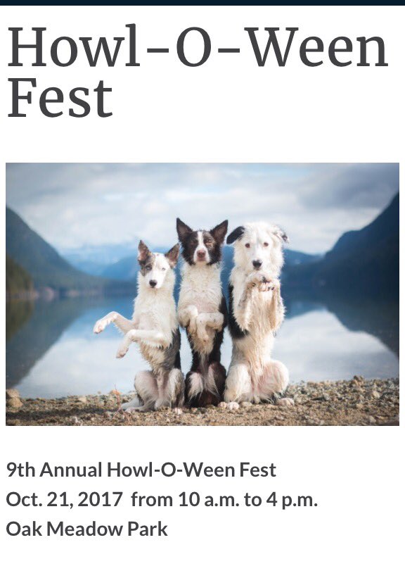 PuppyUpHouston's tweet photo. #puppup #spring will be here for a great #dog time πΎπΎ Stop by our #booth #Houstondogs #dogmoms #dogsoftwitter #htx #htxdogs #dogevents #dogs https://t.co/WLINqOEosK