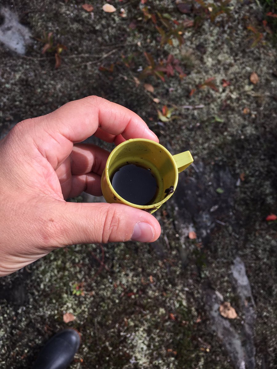 agawap's tweet photo. Amazing outdoor classroom at Mine Centre P.S. My guide, Dishaun taught me a lot. He made me mud coffee & asked me to stay ❤️ #IKME2017 https://t.co/KdFnIhGdzX