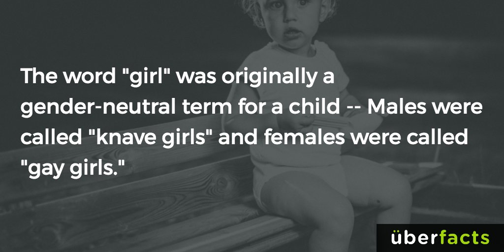UberFacts tweet media