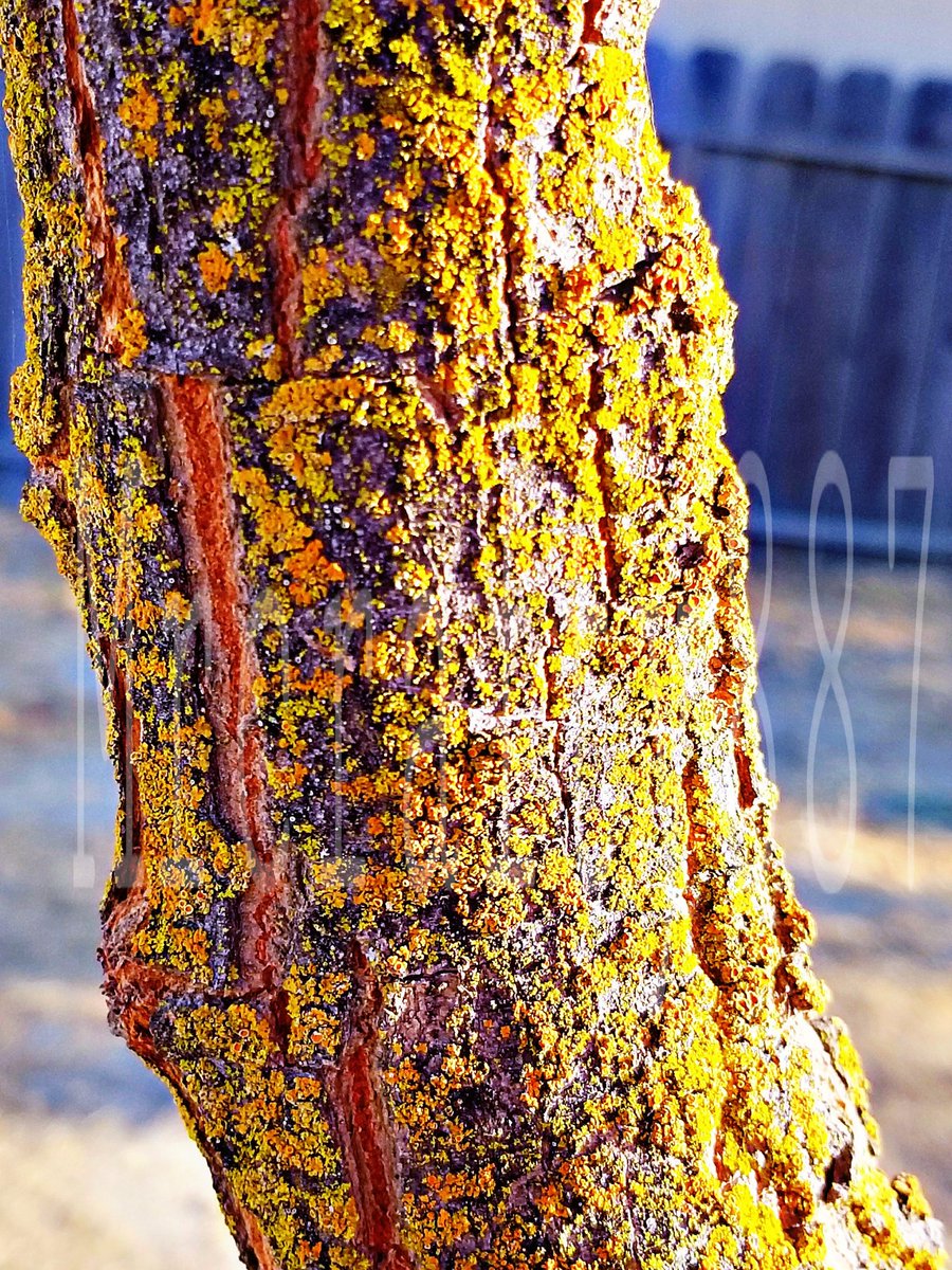 2 new images on Mrcrafty887 etsy.com/shop/Mrcrafty8… 10/7/2017 October release.